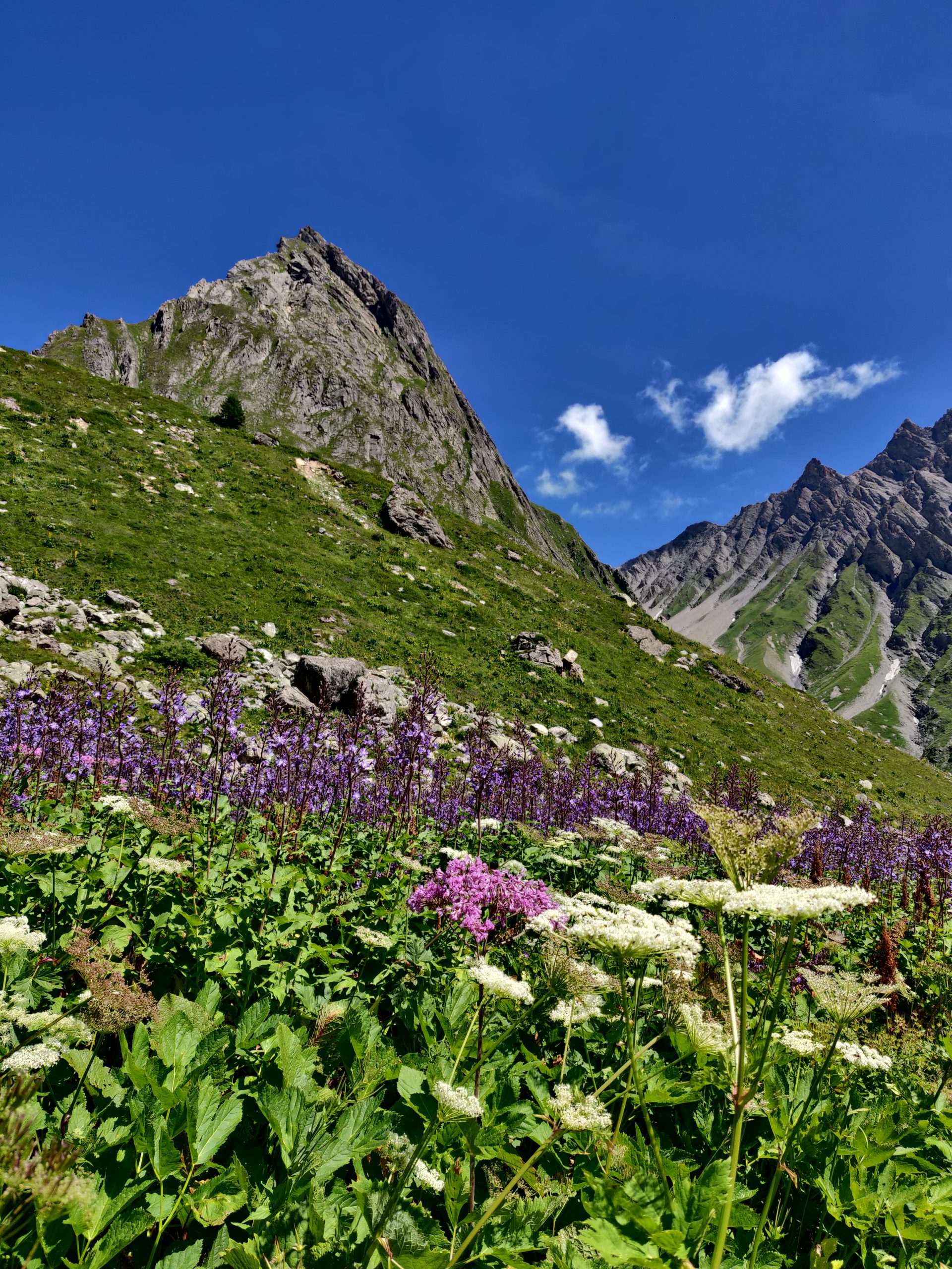 tour du beaufortain